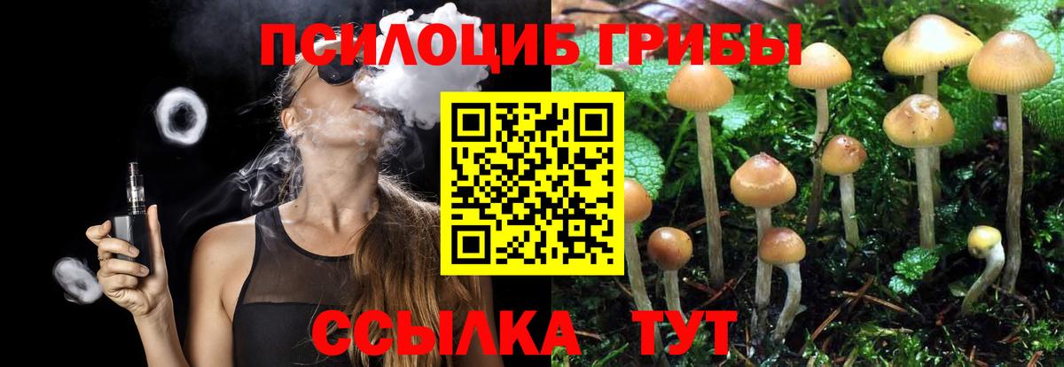 Галлюциногенные грибы прущие грибы Ишим