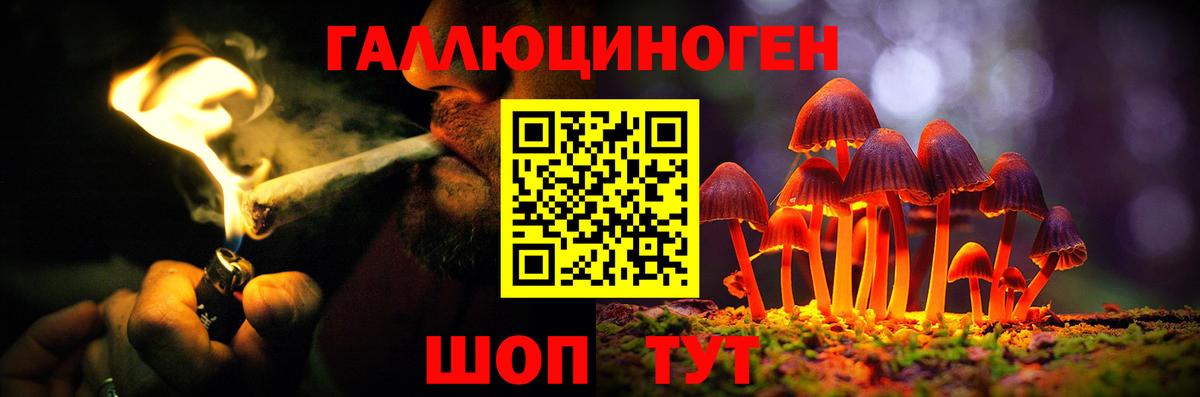 Псилоцибиновые грибы Psilocybe  Вход с VPN  Псилоцибиновые грибы Magic Shrooms  что такое наркотик  Ишим 