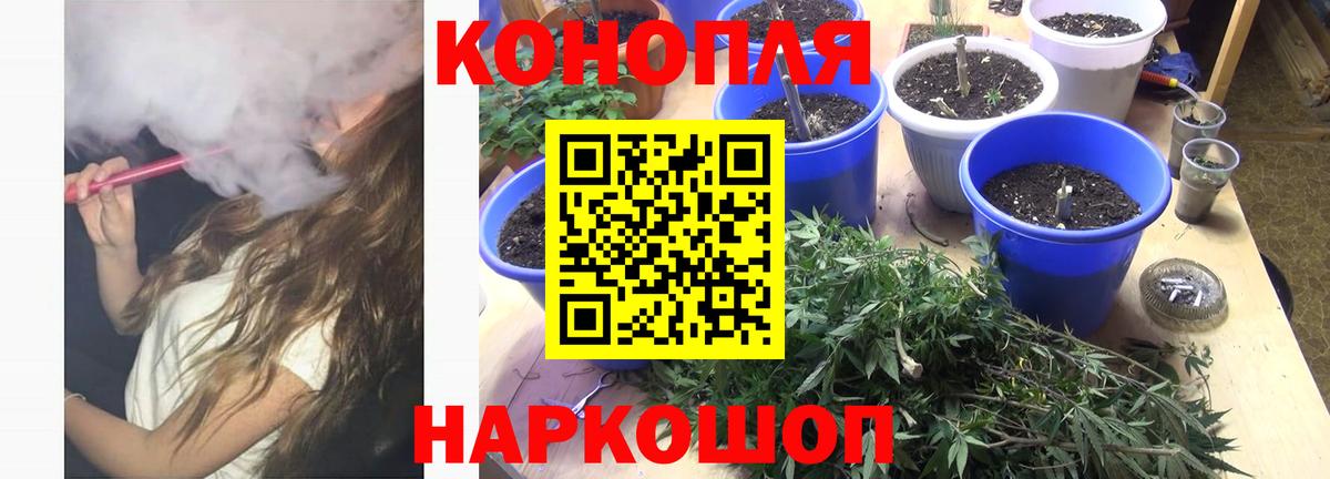 Марихуана гибрид Ишим